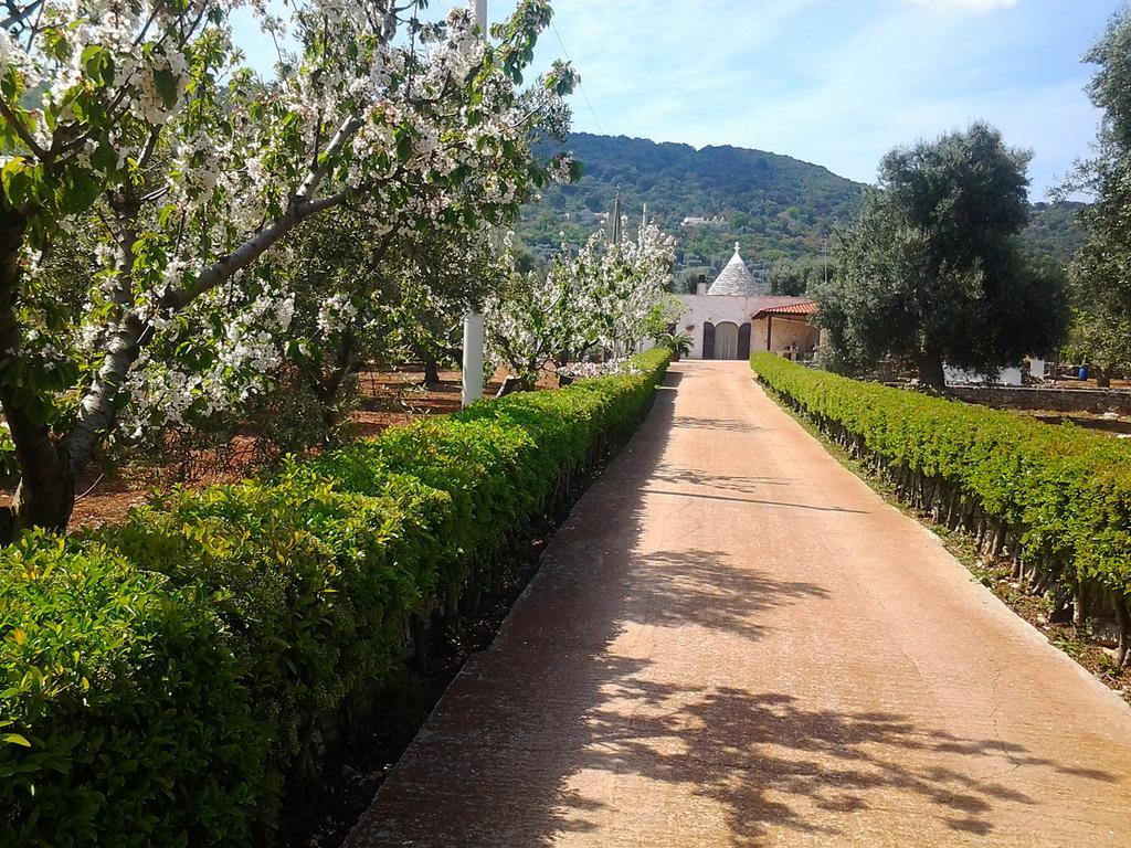 Apartament La Collina Degli Ulivi Fasano Zewnętrze zdjęcie