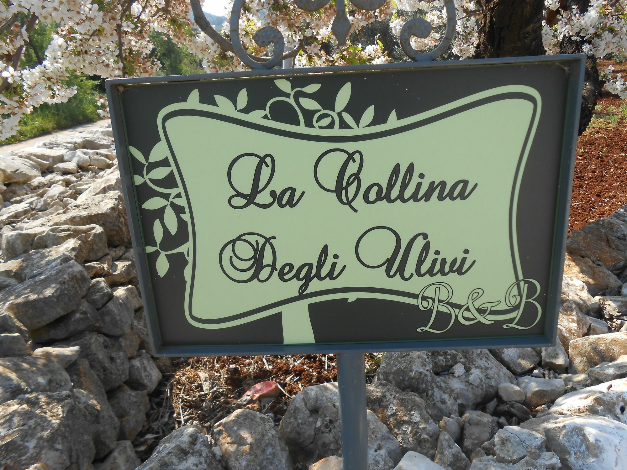 Apartament La Collina Degli Ulivi Fasano Zewnętrze zdjęcie
